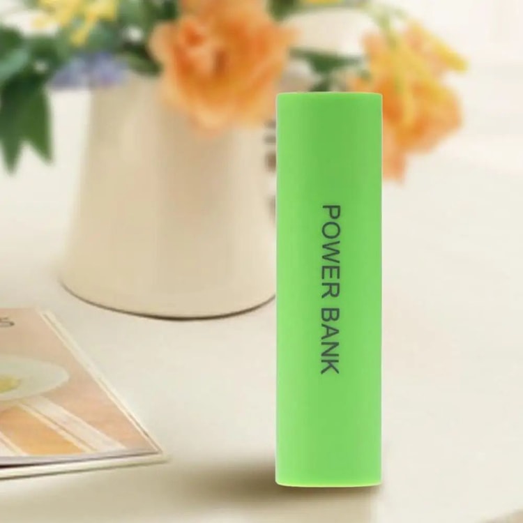 Portable 18650 Power Bank Case