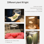 LED Ring Grow Light for Indoor Plants | Angel Glow Ring Light for Indoor Plants | 3-Head LED Plant Grow Lights