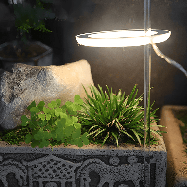 LED Ring Grow Light for Indoor Plants | Angel Glow Ring Light for Indoor Plants | 3-Head LED Plant Grow Lights