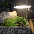 LED Ring Grow Light for Indoor Plants | Angel Glow Ring Light for Indoor Plants | 3-Head LED Plant Grow Lights