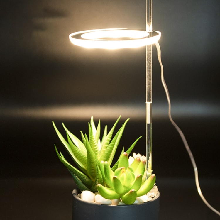LED Ring Grow Light for Indoor Plants | Angel Glow Ring Light for Indoor Plants | 3-Head LED Plant Grow Lights