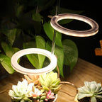 LED Ring Grow Light for Indoor Plants | Angel Glow Ring Light for Indoor Plants | 3-Head LED Plant Grow Lights