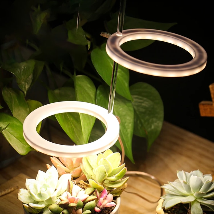 LED Ring Grow Light for Indoor Plants | Angel Glow Ring Light for Indoor Plants | 3-Head LED Plant Grow Lights